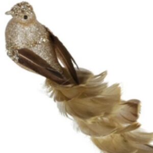 Gold Clip on bird, andal