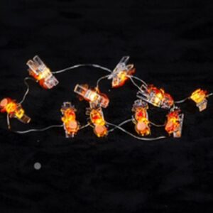 *Reindeer string lights with 10 pegs - 1m