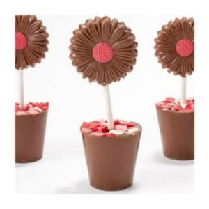 Flower Chocolate Pop